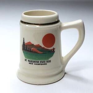 Vintage Mt Washington Park NH Shot Glass
